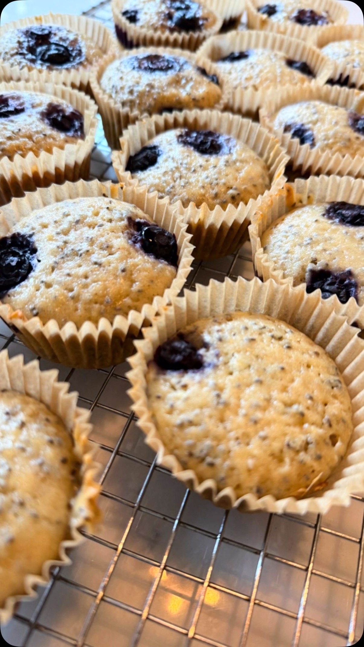 Soft, yummy, and packed with goodness—our chia, yogurt, and blueberry muffins are the perfect treat for kids! DM us for the recipe! 🫐 #rainbowkitchenkids